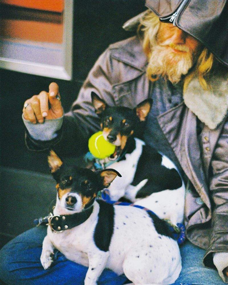 ペットケアジャパン株式会社 - Image 14