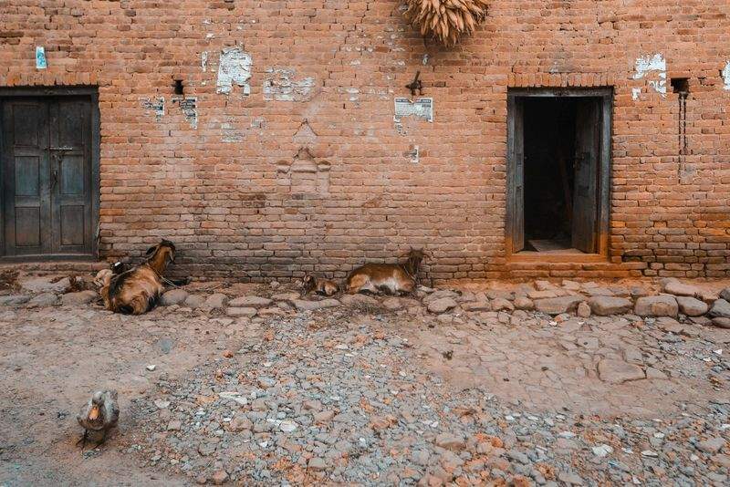 ペットケアジャパン株式会社 - Image 15